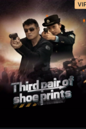 Third pair of shoe prints